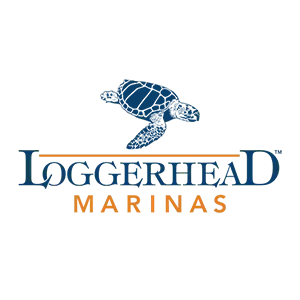 loggerhead-seamedive