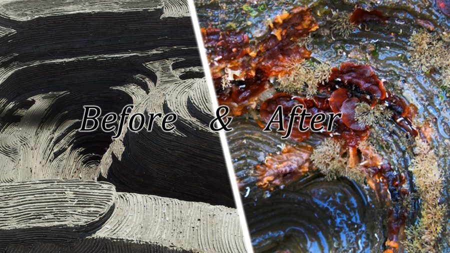 Youtube cover_Before_After_Tidepool