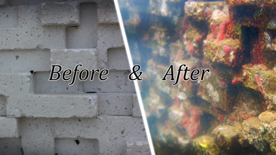 Youtube cover_Before_After_seawall