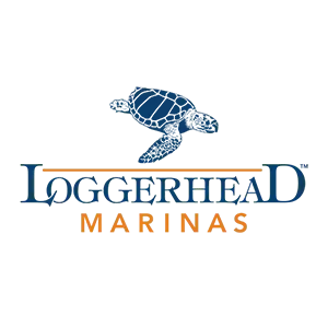 loggerhead-seamedive